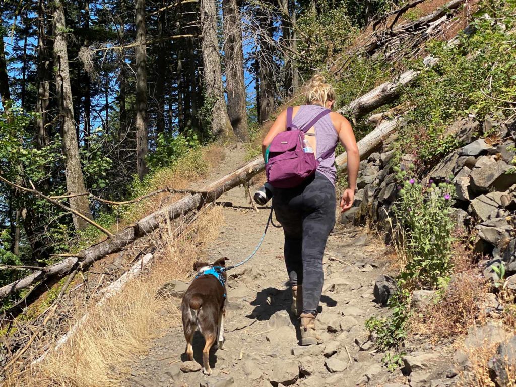 Ali Patton travel blogger climbs the trail to Ponytail Falls (Upper Horsetail Falls Oregon) with her dog Kimber