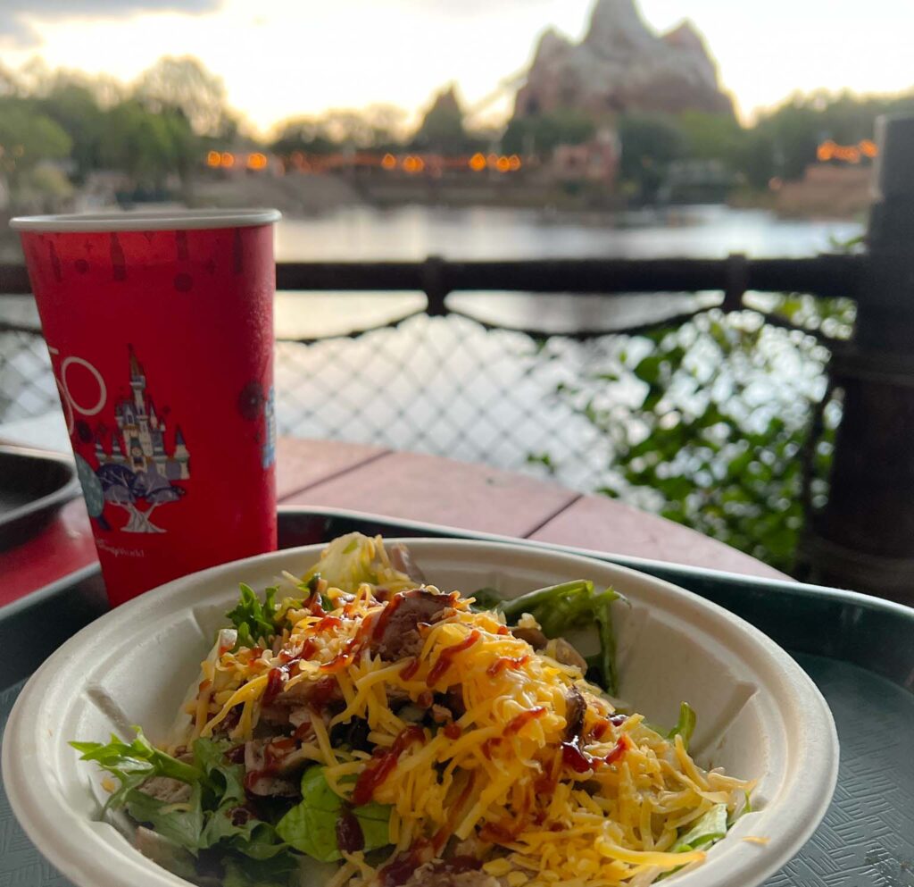 Salad topped with smoked pork from Animal Kingdom Flame Tree restaurant with Expedition Everest ride slightly blurred in the background.