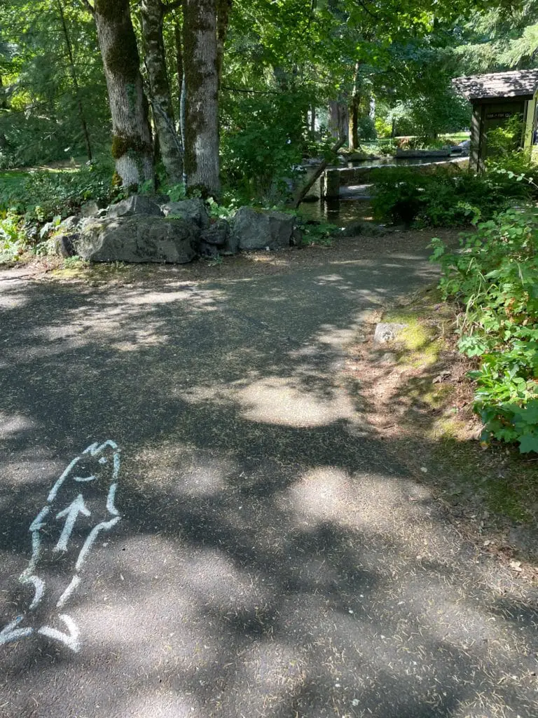 pathway at the hatchery with fish decal on the ground