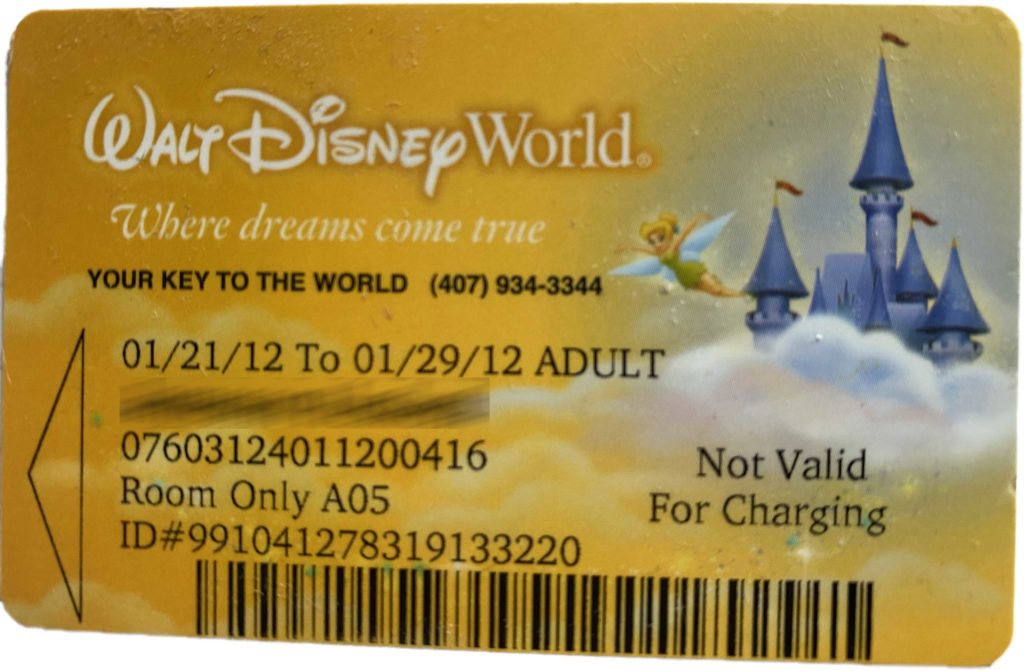 Plastic Disney World Theme park ticket