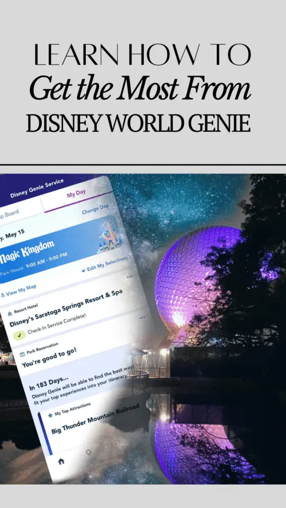 Disney World Genie pin