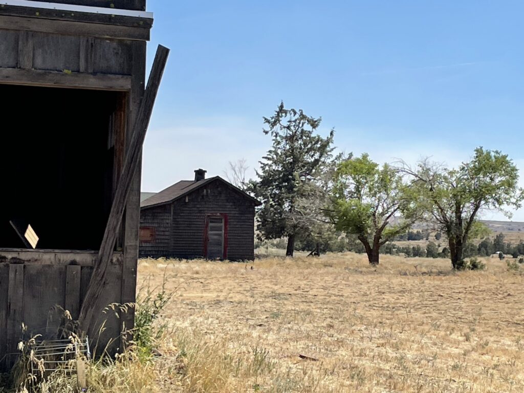 Buildings lay in disrepair in this Oregon Ghost town. 