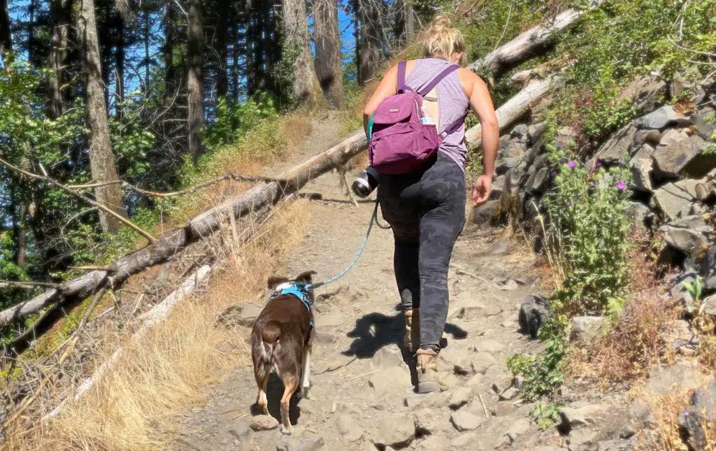 woman and dog hiking Oregon trail