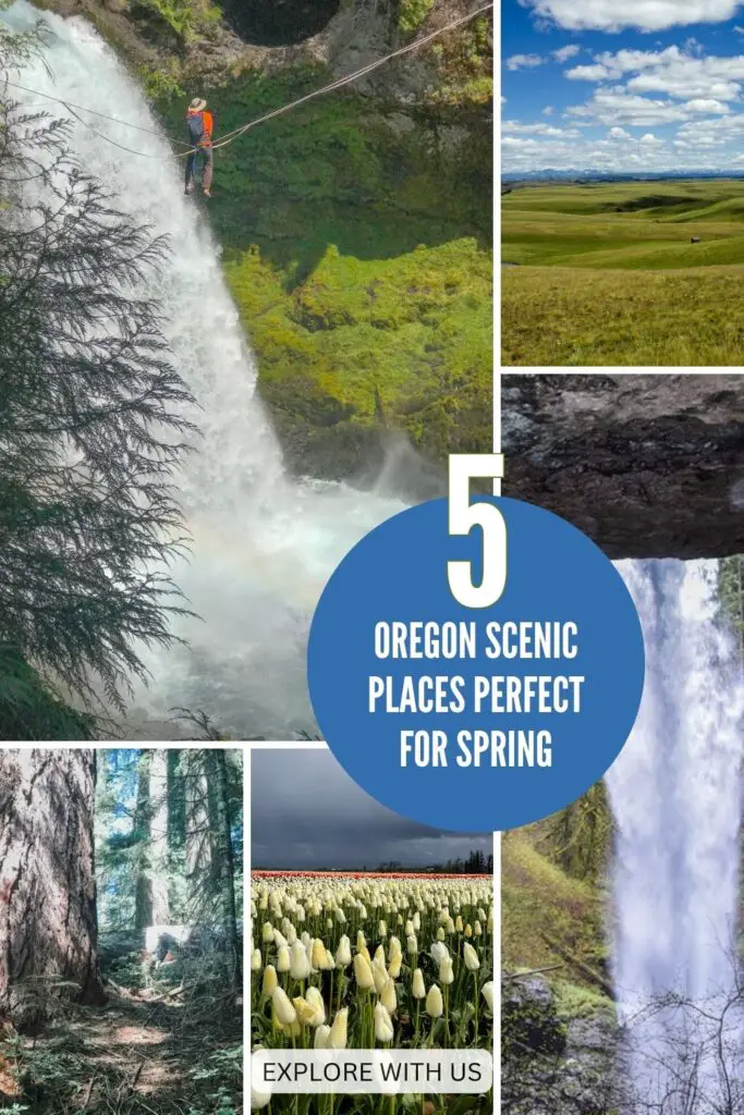 SCENIC PLACES OREGON SPRING Pin