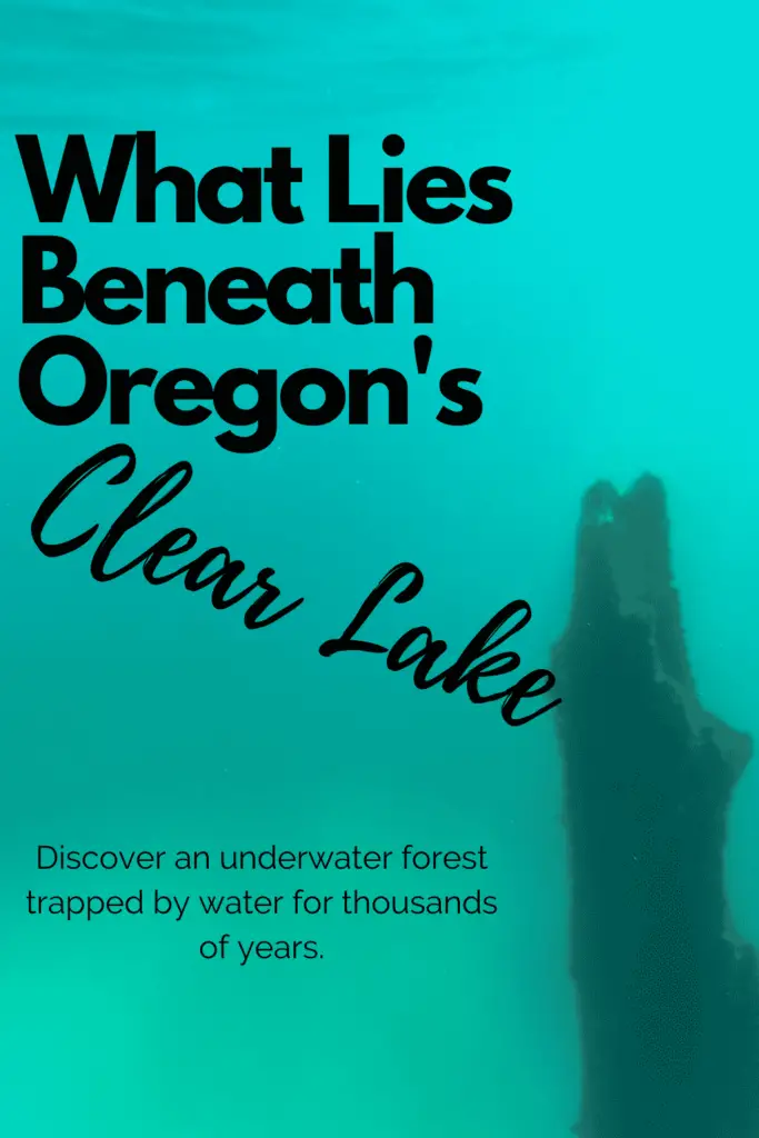What Lies Beneath Oregons