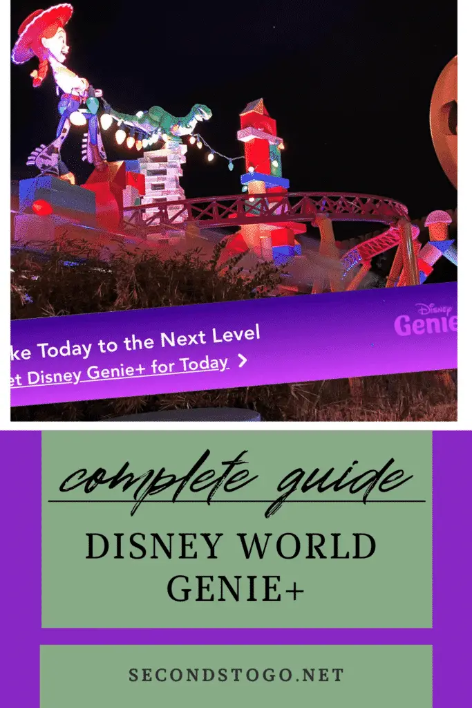 Disney world genie plus pin 1
