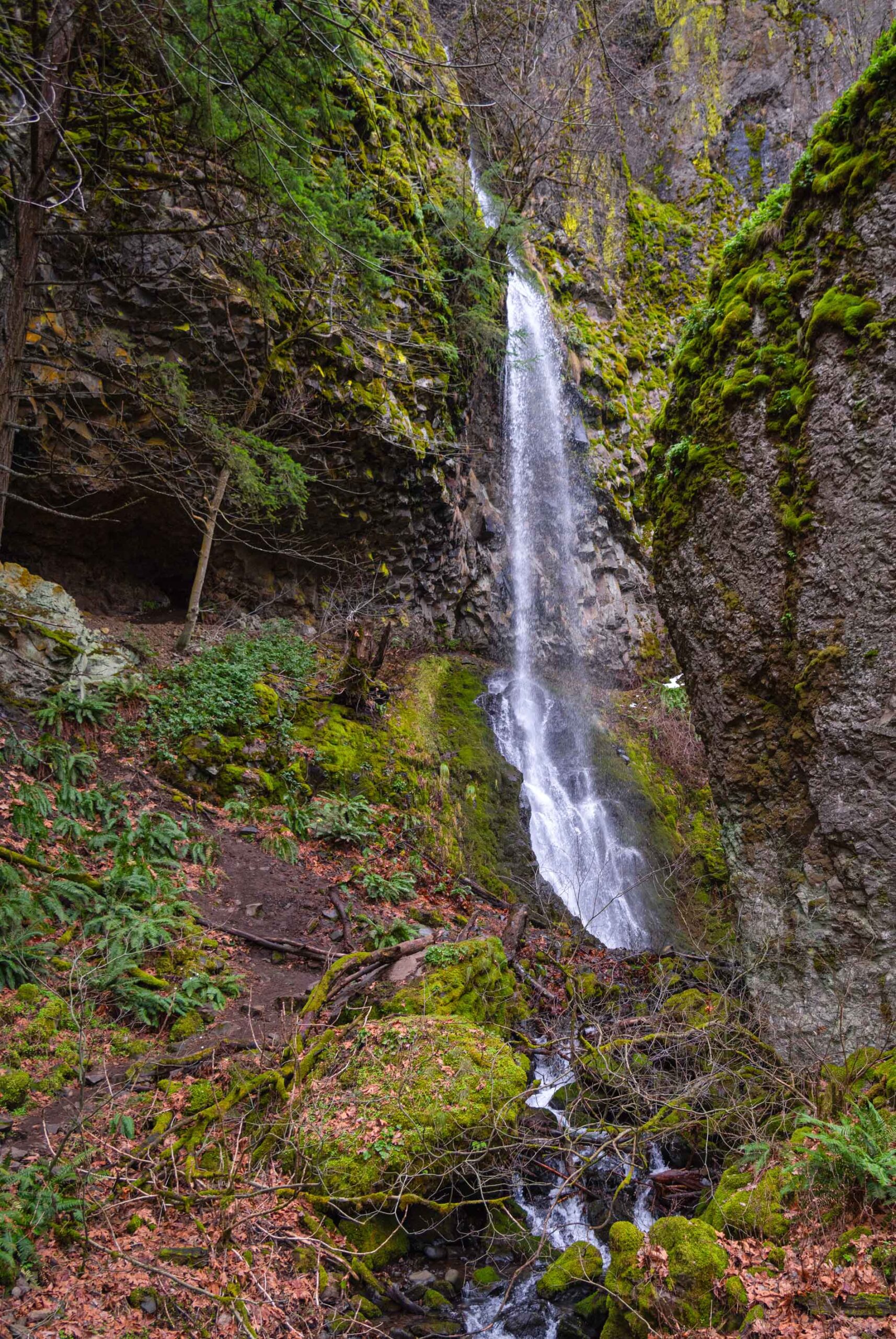 Cabin Creek Falls inside the Starvation Creek State Park