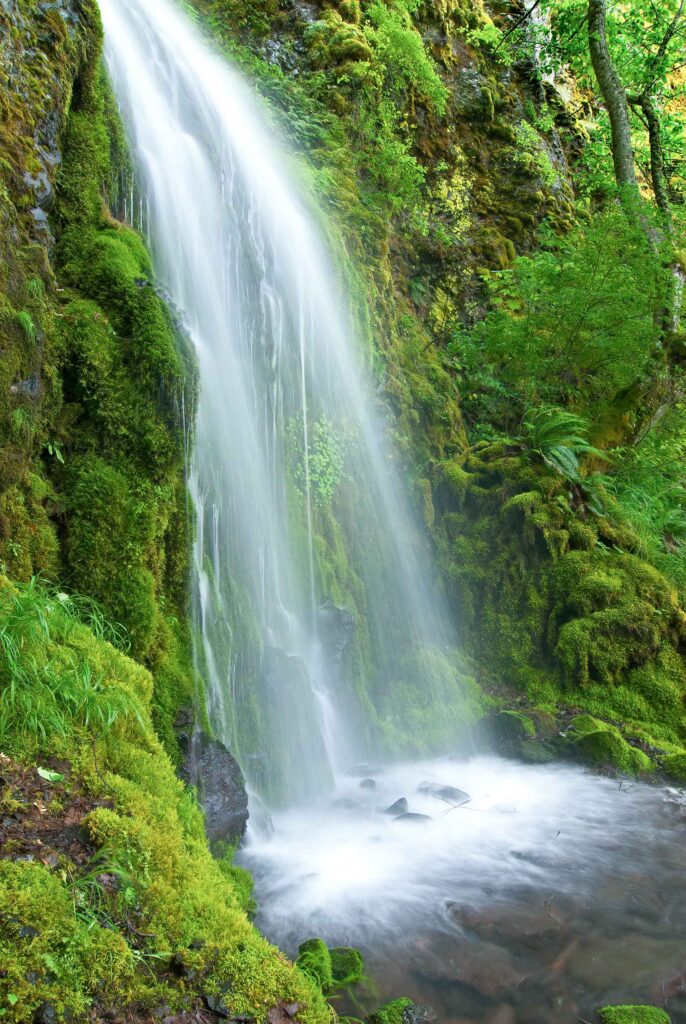 Shot of Lancaster Falls in Starvation Creek Falls State Park, shot in long exposure.
