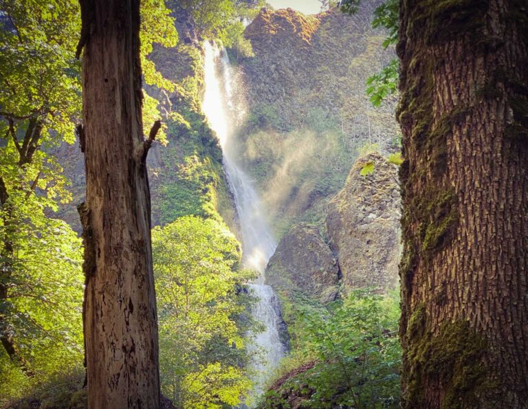 starvation creek falls vert