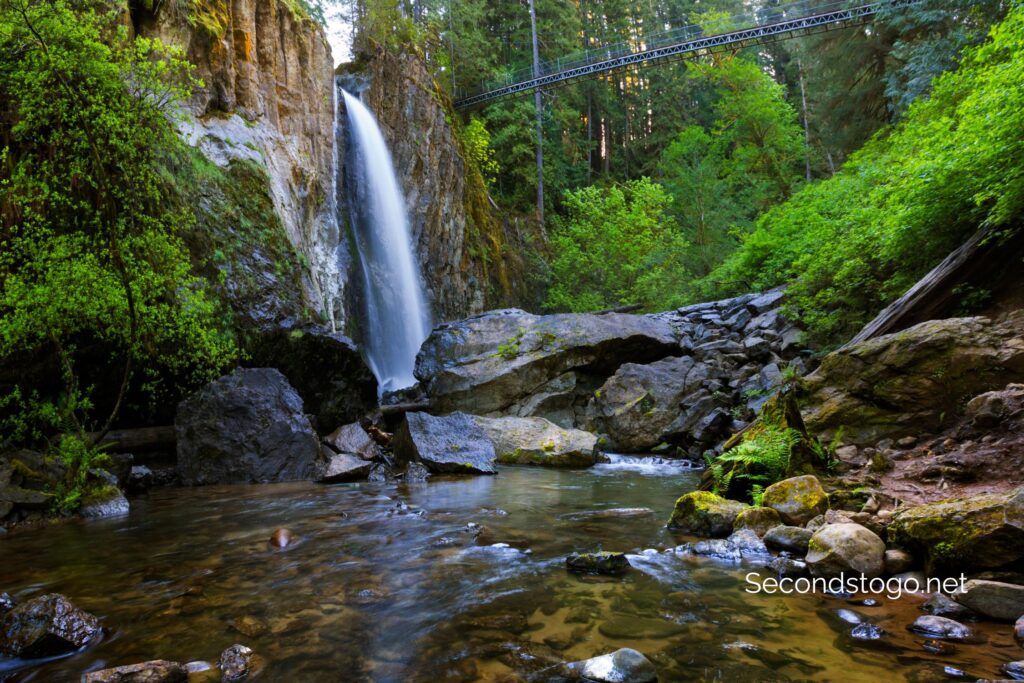 drift creek falls oregon sunny