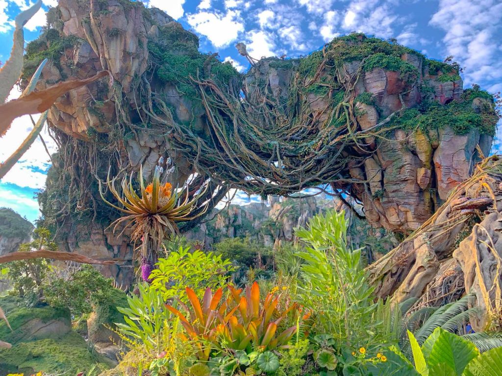 Is August a good time to go to Disney World? This view of Pandora Land in sunlight might entice you.