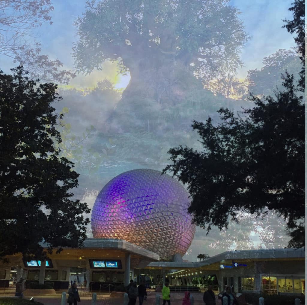 shot of Animal Kingdom's Tree of LIfe trasposed over Spaceship Earth, representing two of the destinations you can visit on a trip to Disney World: all inclusive package.