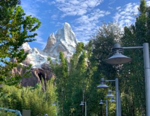 Expedition Everests Disney in August