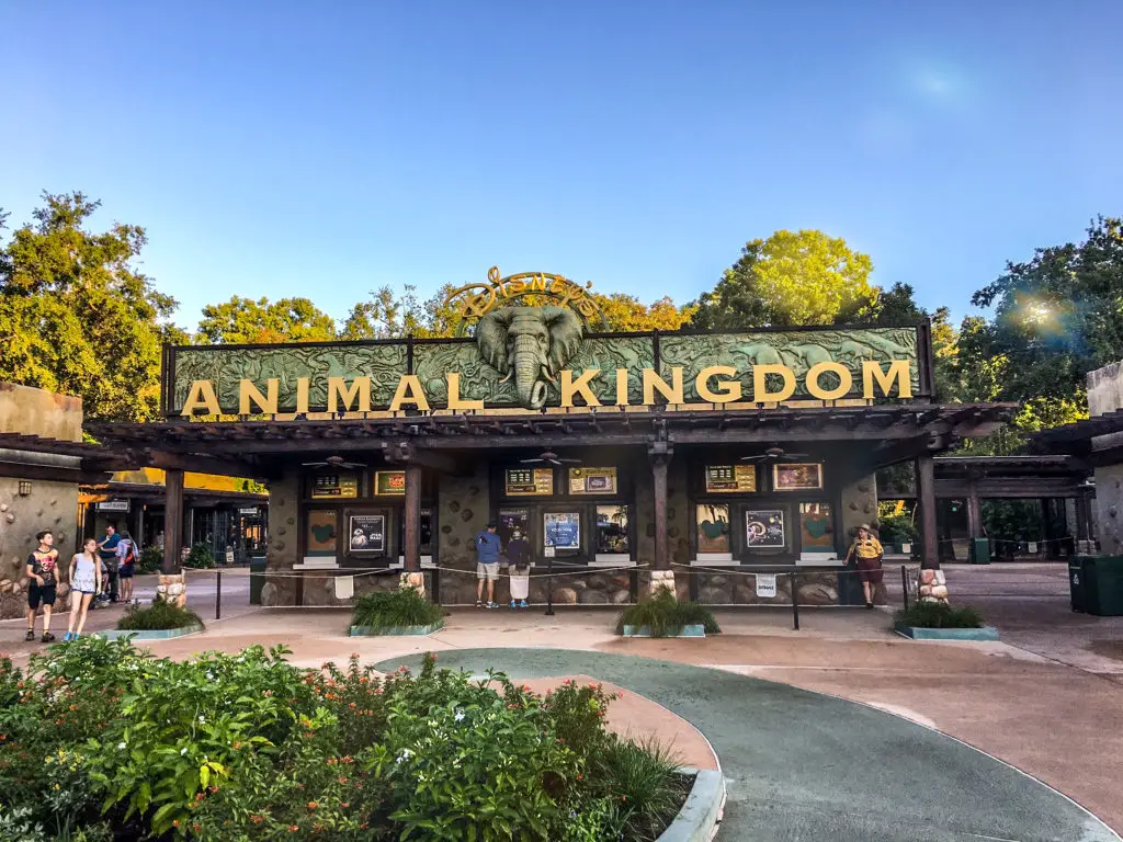 On a rainy day you may want to use Animal Kingdom as your Disney World park to skip