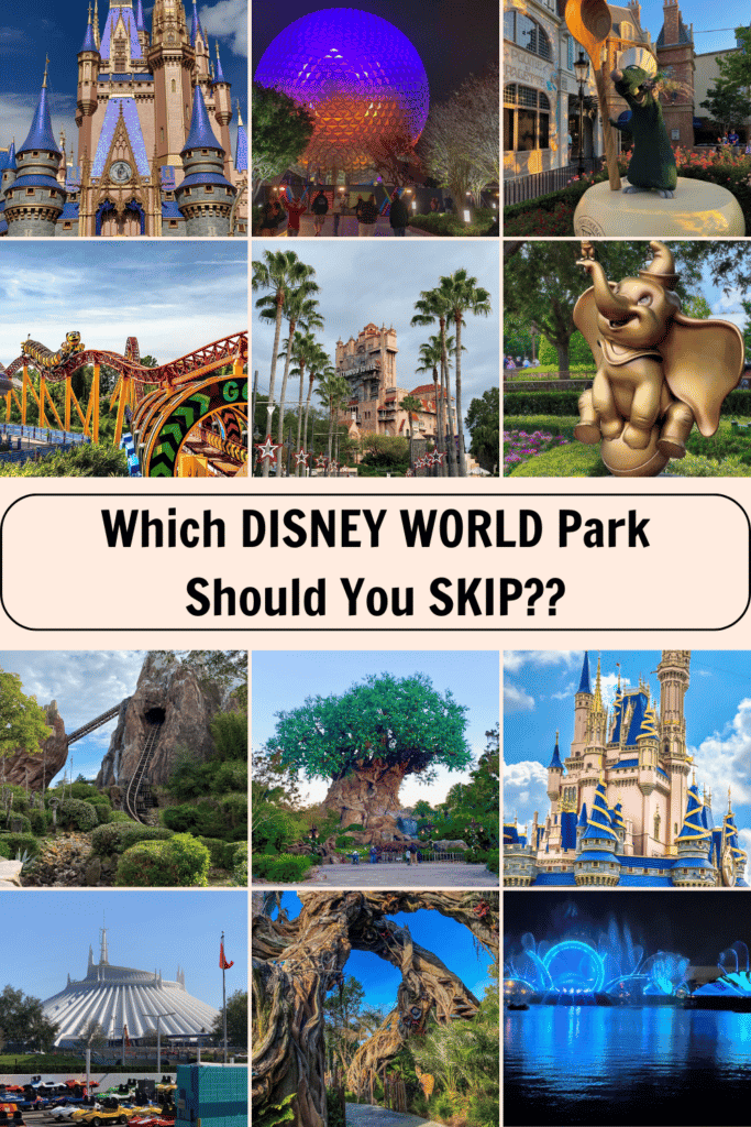 Which DISNEY WORLD Park Should You SKIP pin