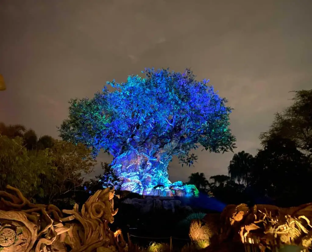 Animal Kingdom at night- is Animal Kingdom one of the Disney World Parks to skip