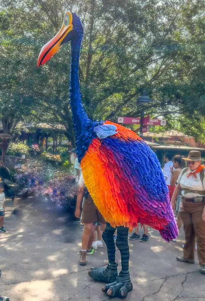 Kevin's appearances in Disney World is  one of the best kept secrets. of Animal Kingdom. 