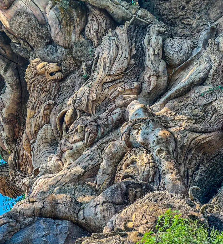 Animal Kingdom Secrets hidden the carvings of the Tree of LIfe.