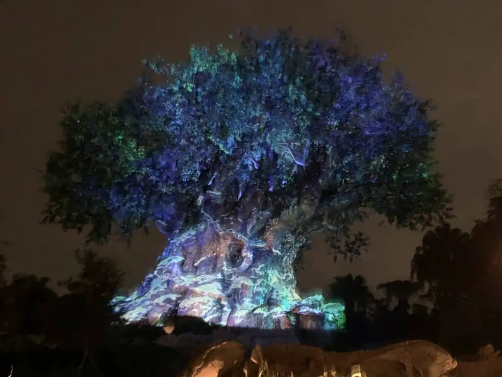 the rope drop at Disney World inside Animal Kingdom is by the Tree of Life.
