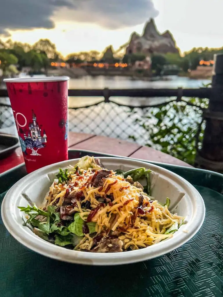 Food from Disney World quick service restaurant, Flame Tree Barbecue, with Expedition Everest in the bakcroung