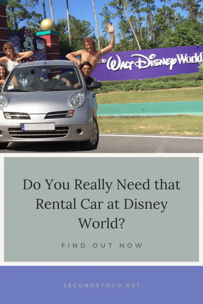 Disney World car rental pin