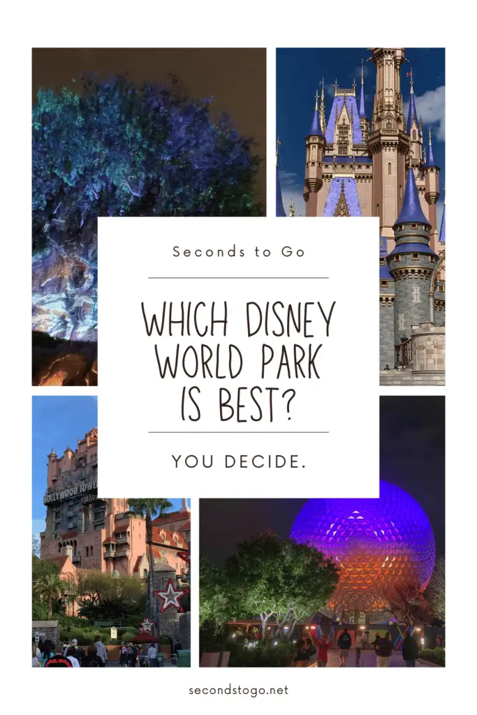 Disney world park is best pin