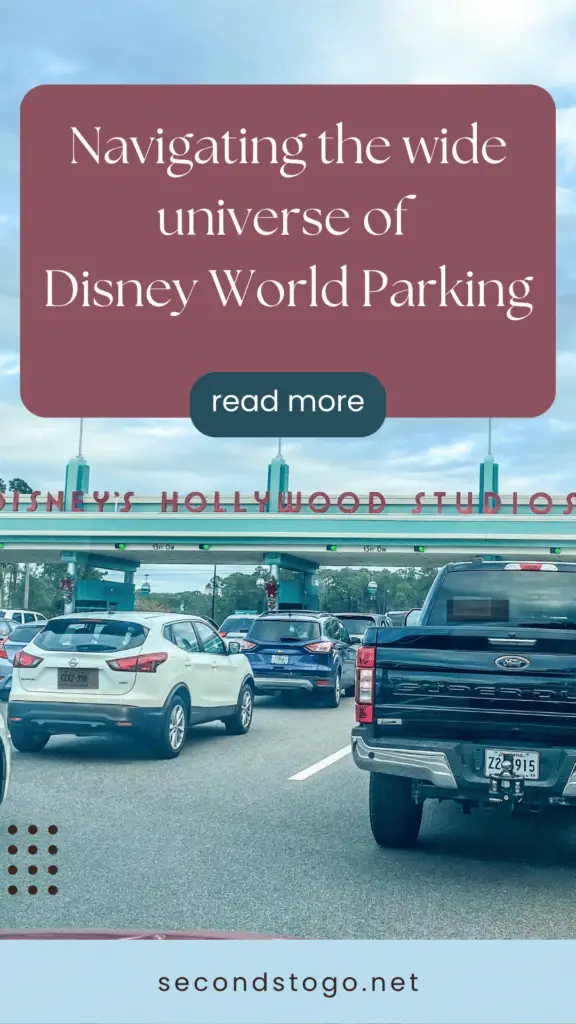 Disney world parking pin