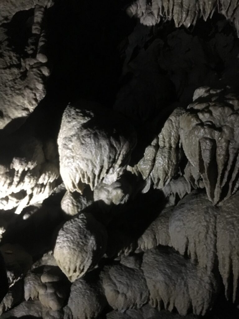 lights illuminating the interior of the caves in the Oregon caves National Monument and preserve