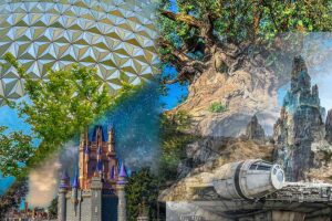 which disney park best feature