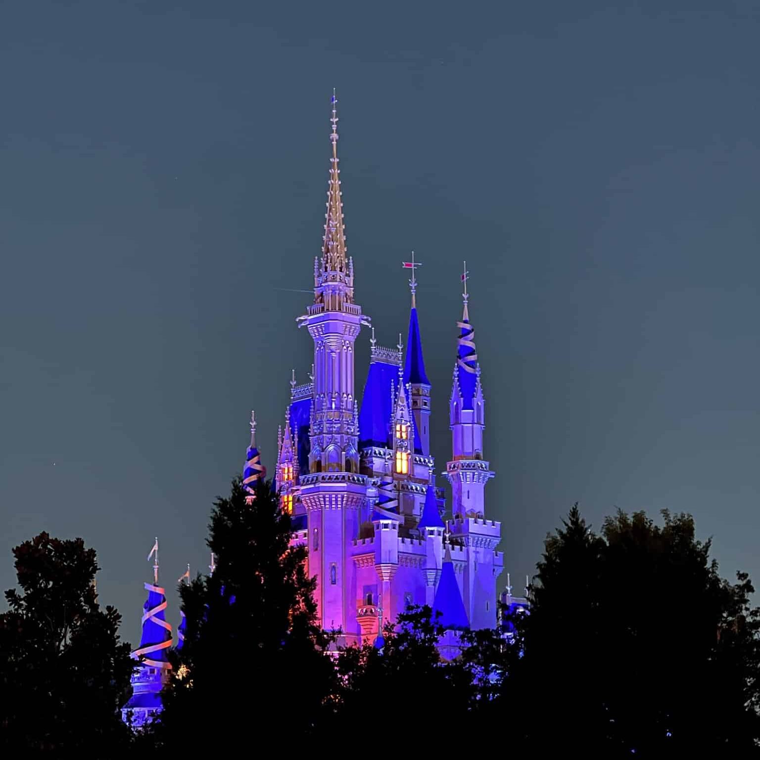 Disney World Magic Kingdom's Castle