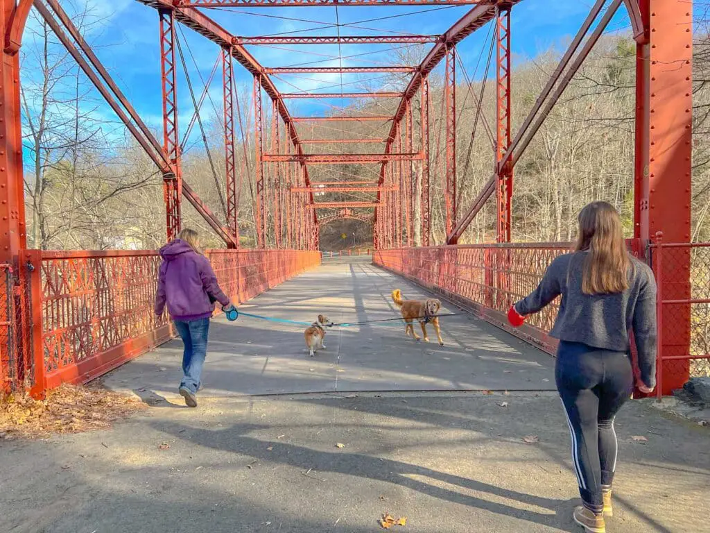 Two women and their dogs begin a hike across the iron bridge at Lovers Leap State Park in Connecticut.