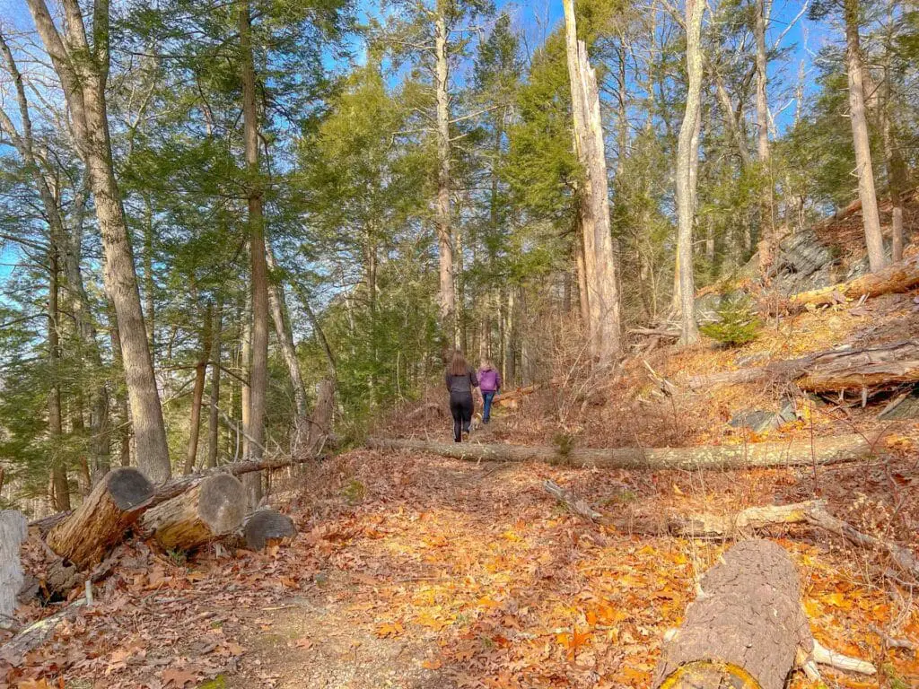 Castle Trail loop at Lovers Leap State Park in Connecticut