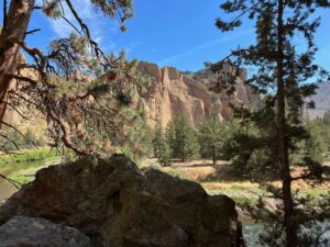 Smith Rock State Park Rock face as seen through the trees.