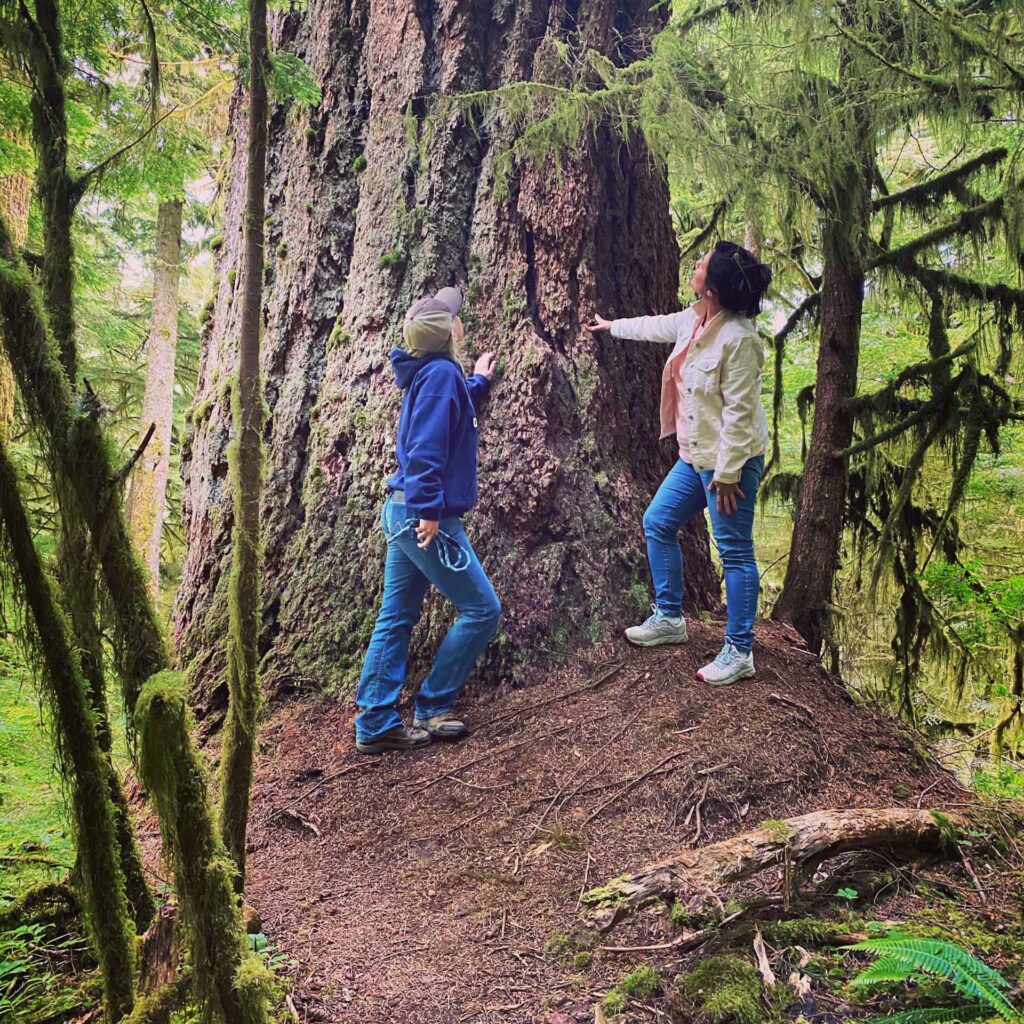 Kat and Ali, mother daughter travel bloggers, gaze up at an old growth tree in Valley of the Giants Oregon.