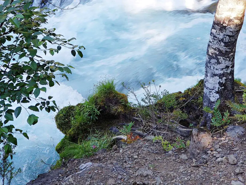 over the river mckenzie river AdobeStock 213845344