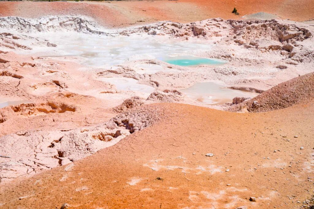 fountain paint pots