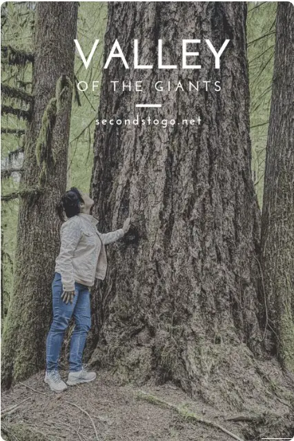 valley of the giants