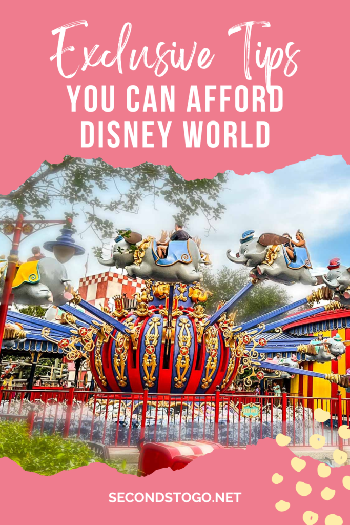 Afford Disney World pin