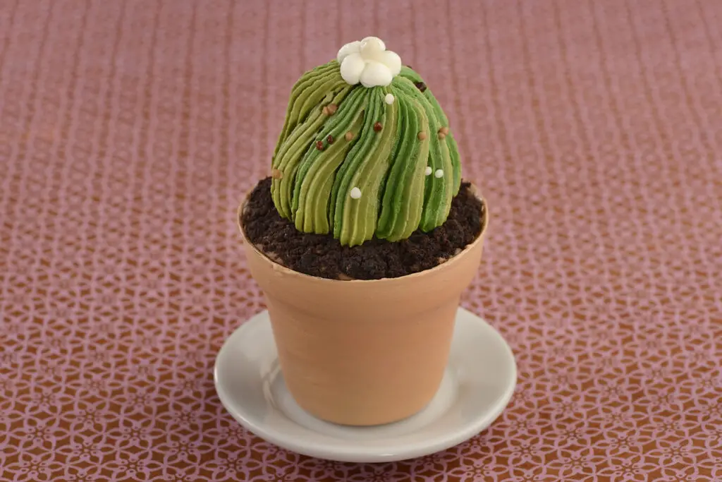 Cactus inspired cupcake celebrating Earth Month at Disney World