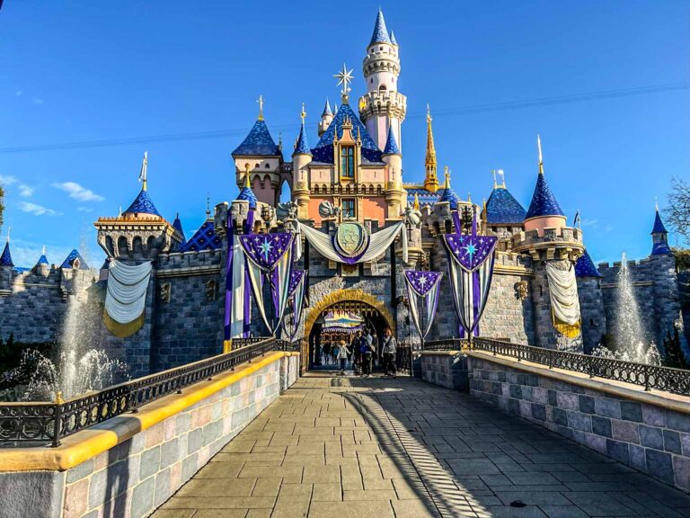 disneyland castle