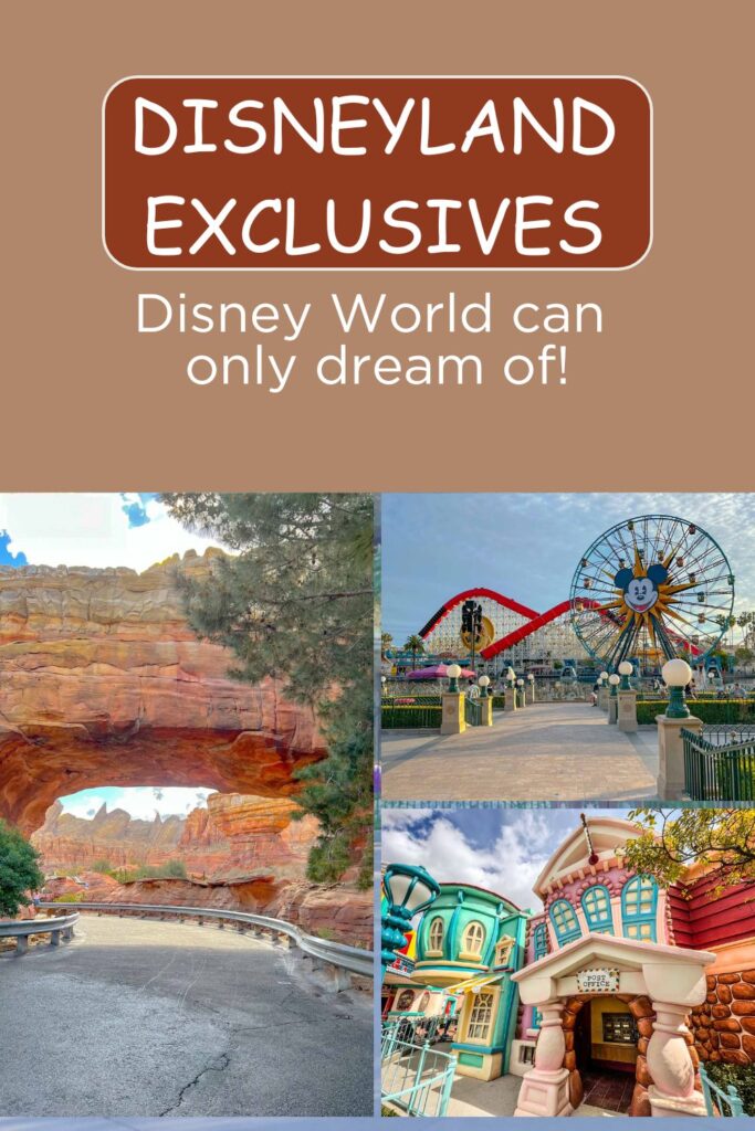 things to do disneyland cant do dw pin