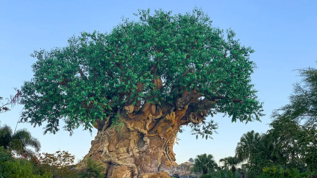 Tree of Life in Animal Kingdom, a must see in Disney World.