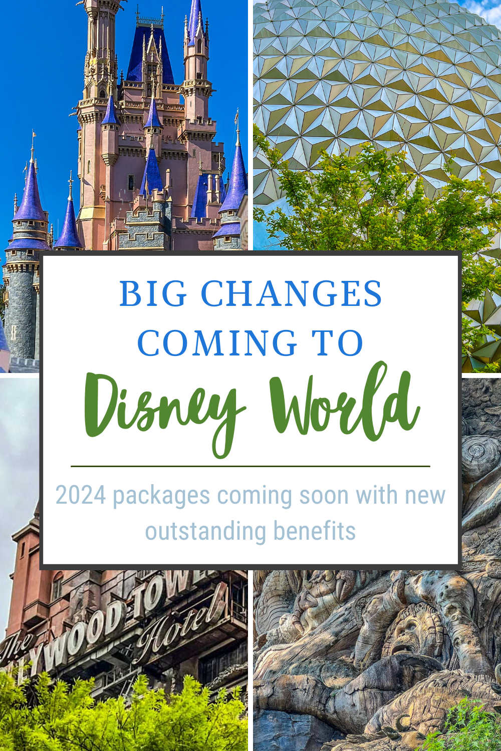 Disney World packages 2024 pin