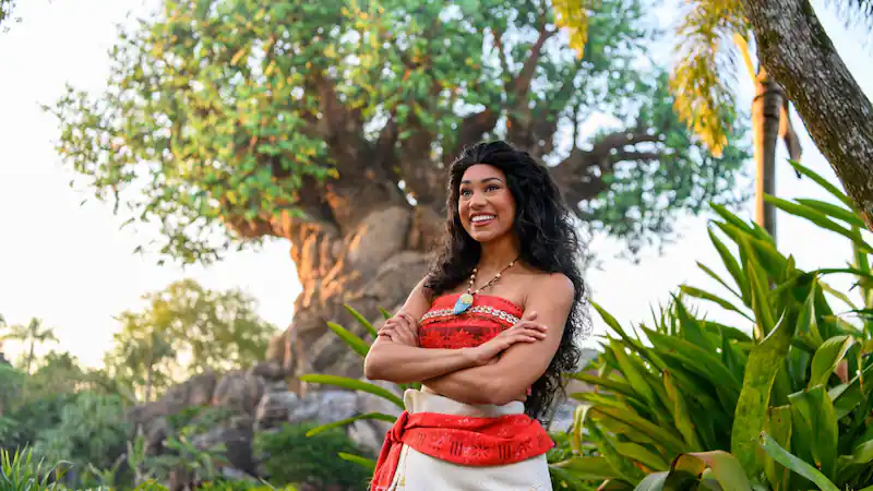 Moana stands in front of the tree of life in Animal Kingdom at Disney World