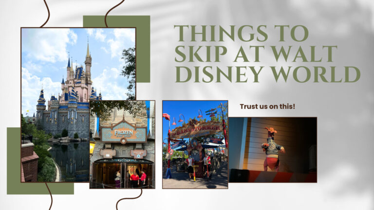 Things to Skip at Walt Disney World