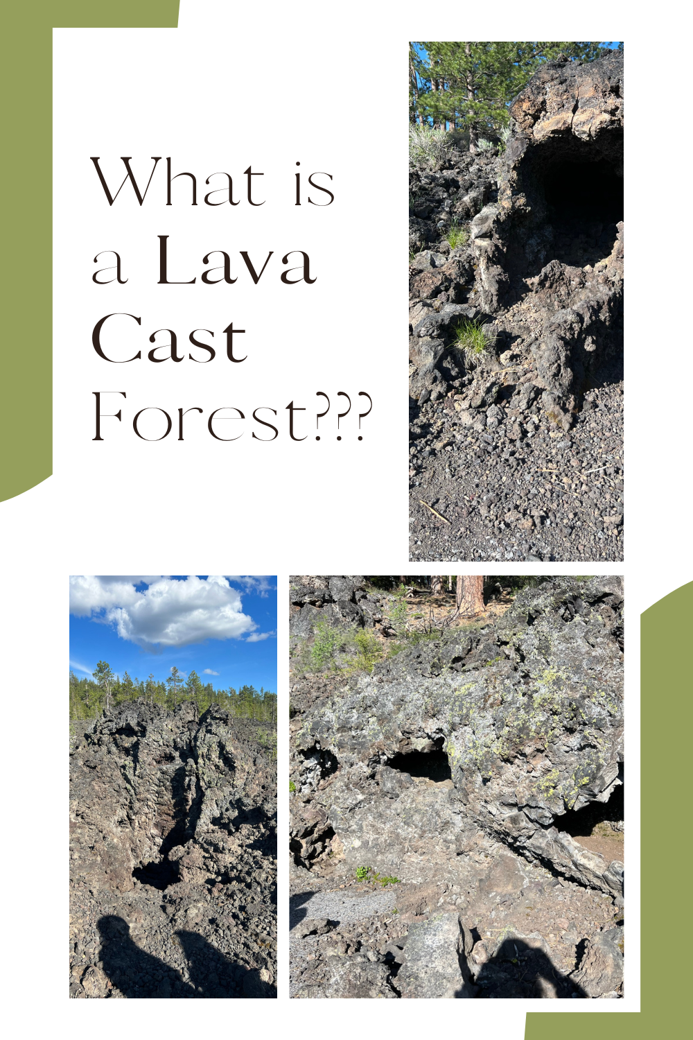 What is a Lava Cast Forest