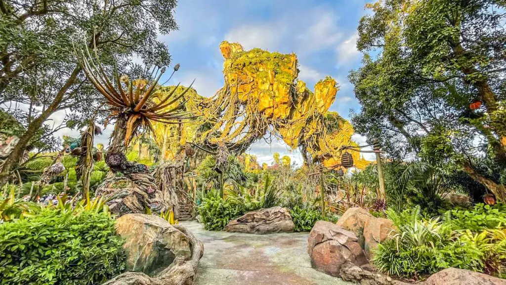 Floating rocks in Disney's Pandora Land taken during Extended Hours.