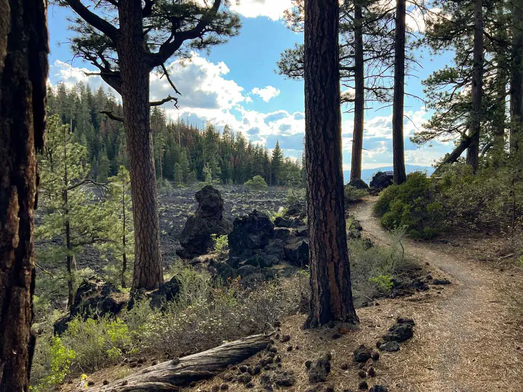 The rougher section of the Lava Cast Forest trail
