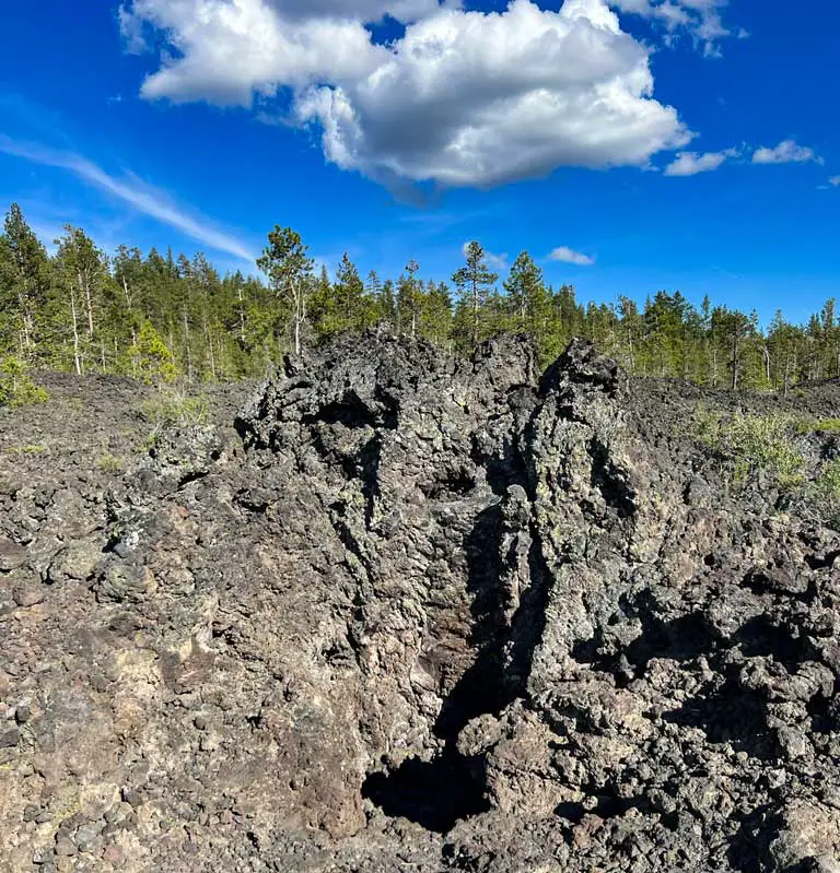 Lava Cast near the trail