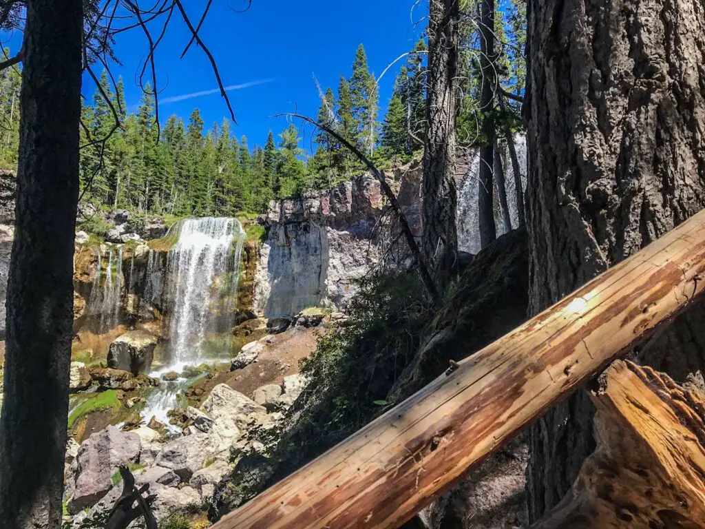 Paulina falls cascades in the background behind fallen trees in rich shades of reddish brown